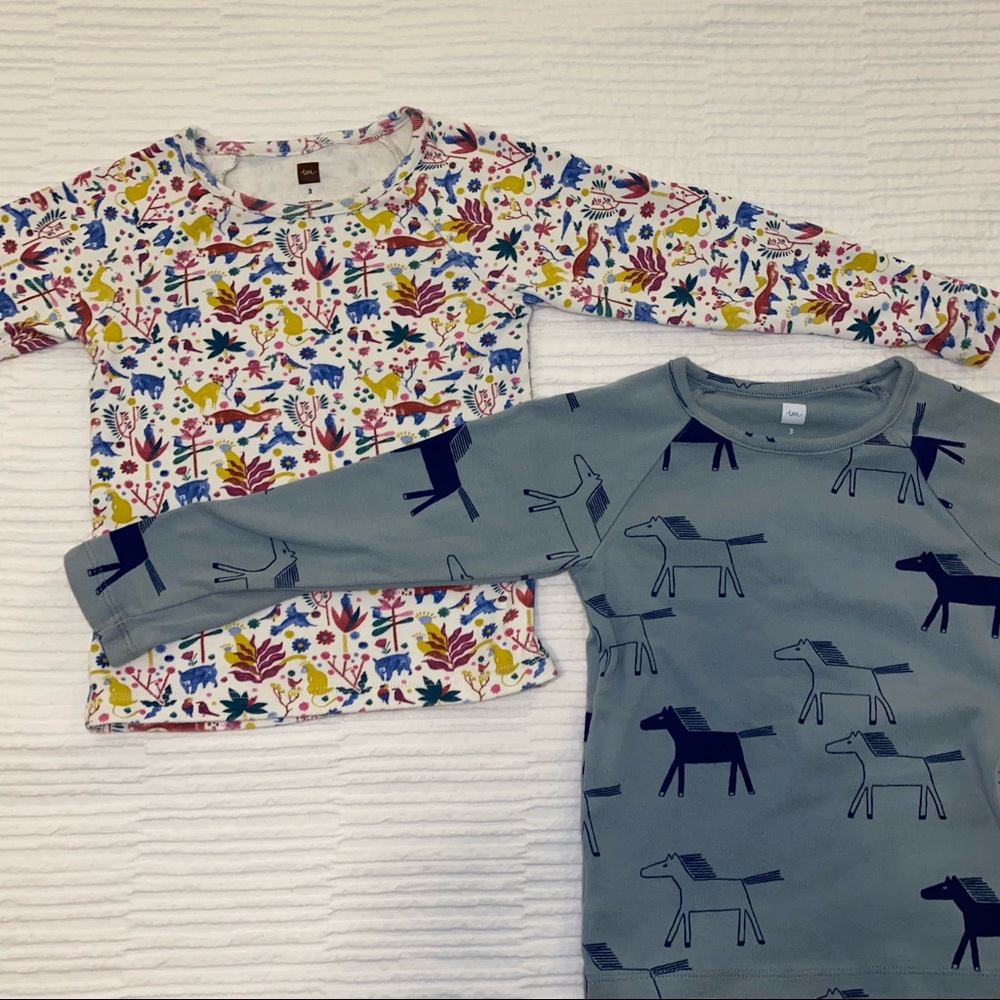 Set of two Tea Collection long sleeve girls tops